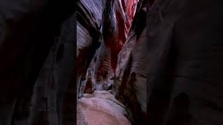 Antelope Canyon USA shortsyoutubeshortsshortsfeed shortvideo [upl. by Sansone]