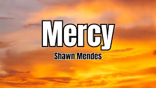 Mercy  Shawn Mendes Lyrics [upl. by Ahsilac19]