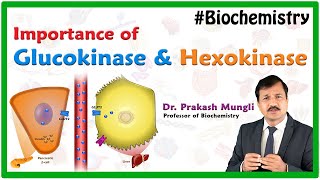 Hexokinase Vs Glucokinase  Medical Biochemistry By Dr Prakash Mungli [upl. by Luapleahcim]