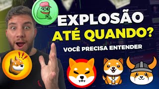 Shiba Inu Pepe coin Baby Doge Floki vão EXPLODIR até Quando [upl. by Schacker]