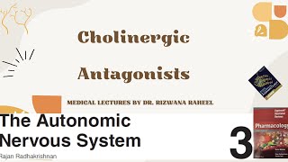 An Introduction to Cholinergic Antagonists  Classification  Pharmacology Lippincott Reviews [upl. by Licko]