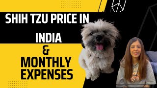 Shih tzu dog price in India 2022 and monthly expenses shihtzu dogvlog [upl. by Bosson]