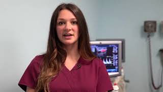 Cardiovascular Technology Program at Molloy College [upl. by Bamford]