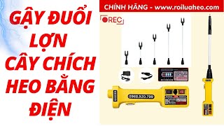 GẬY ĐUỔI LỢN  CÂY CHÍCH HEO BẰNG ĐIỆN  ROI LÙA HEO  GIAO HÀNG TOÀN QUỐC [upl. by Repohtsirhc]