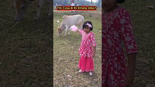 Titi Cow🐮K Ki Khete🍭Dilo😱🤣 shorts funnyvideo cow trishikarimpa [upl. by Putscher]