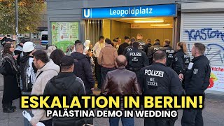 Arabische Demo eskaliert komplett 😱🔥 Berlin Wedding [upl. by Einial]