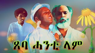 Abera Beyene  Tseba Hanti lam  Eritrean Tigrigna Music 2020 [upl. by Ahsiugal919]