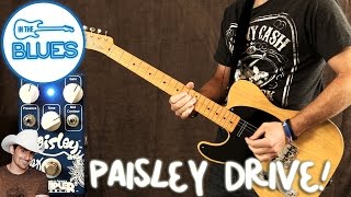 Wampler Pedals  The Paisley Signature Overdrive [upl. by Elohc757]