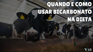 Quando e como usar bicarbonato na dieta [upl. by Topping]