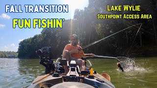 Fall Transition Fun Fishing  Kayak Bass Fishing in Unseasonably Warm Weather  Lake Wylie [upl. by Adda]