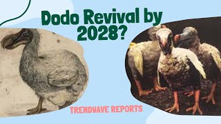 Can We Really Bring Back the Dodo by 2028 [upl. by Nnyleve595]