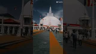 බුදු බණ පදයක සිත නිවමී🙏 anuradapura trending srilanka views viralvideo video shortvideo sl [upl. by Assir]