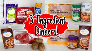 The BEST 3Ingredient Recipes  QUICK amp EASY DINNER IDEAS  Fast Tasty Simple Meals  Julia Pacheco [upl. by Upali411]