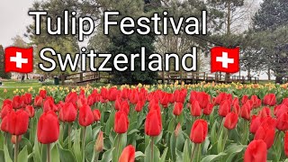 Tulip Festival morges Switzerland🇨🇭🌷Fête de la Tulipe in Morges  Parc de l’Indépendance in Morges [upl. by Ahsauqram]