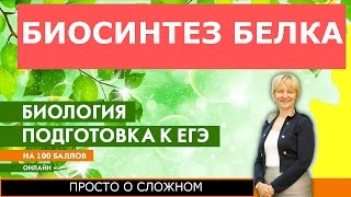 Видеоурок по биосинтезу белка Просто о сложном транскрипция и трансляция [upl. by Marius589]