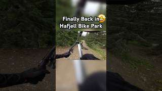 Back in Hafjell Bike Park 2024🔥🤩 HafjellBikePark mtb downhill gopro mountainbike shorts [upl. by Nylyram]