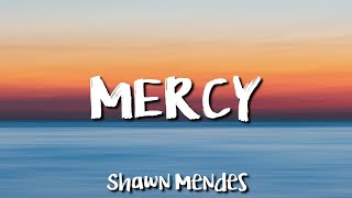 •Shawn Mendes• Mercy lyrics [upl. by Andrade]