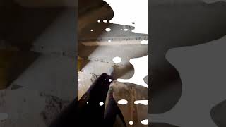 Before  after  nos escaliers béton beforeandafter proud satisfying satisfyingvideo [upl. by Anairam]