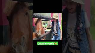 Caballo Verde  Canciones Infantiles la Granja de Zenón 🥰🐎🤗😉😆 [upl. by Ahseit]