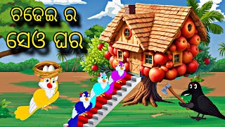 Chadhei Ra Seo Ghara \\ Odia Stories \\ Odia Gapa \\ Tiki Chadhei Gapa \\ Bird Story \\ Stories [upl. by Ydrah971]