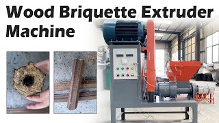 EcoFriendly Sawdust Briquette Machine for Sustainable Fuel Production sawdust briquettes wood [upl. by Vigen313]