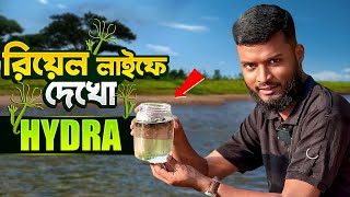 “হাইড্রার সাথে রিয়েল লাইফে পরিচিত হও 🔥  See Hydra Like Never Before  ✅ Real Hydra viridissima [upl. by Anaicul]