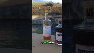 The Top Affordable Cognacs Under 50 A Tasting and Review cognac [upl. by Nosiddam]