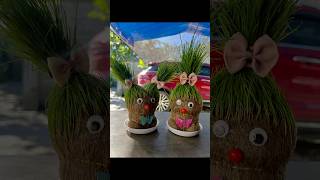 Grass head  Hair grass grasshead hairgrass kidsplanting kidsvideo planting kidstoys [upl. by Eehc348]