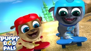 Feels Like Were Flying  Music Video  Puppy Dog Pals  Disney Junior [upl. by Asereht]