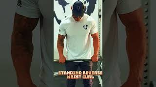 Crush Every Handshake Ultimate Forearm Workout [upl. by Terces]