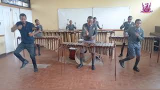 Mbuya Madhuve Ndega Ndega cover Churchill School Marimba Band [upl. by Kentiga]