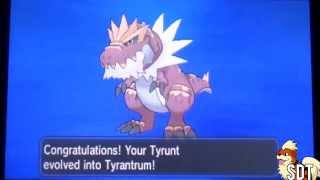 How to Evolve Tyrunt into Tyrantrum  Pokemon X and Y [upl. by Brubaker]