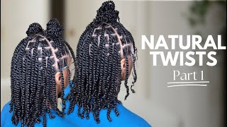 The Best Protective Style For NaturalHair  Part 1 How to do NaturalTwists [upl. by Okun]