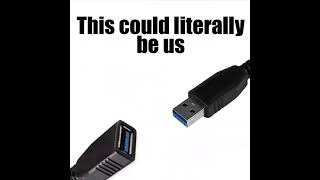 This could literally be us Windows disconnecting and reconnecting USB meme [upl. by Nemlaz]