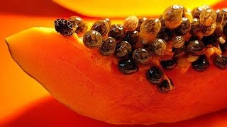 SEMILLAS DE PAPAYA El Mejor Remedio Para Desintoxicar Los Intestinos Y Los Riñones  Mejor Salud [upl. by Adolfo]