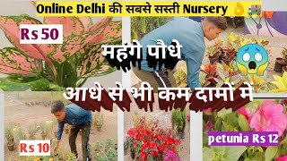 Delhi best nursery for all types of plants Nov oct month Growing plants [upl. by Reffinnej]