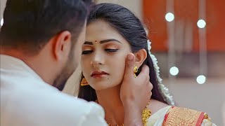 Newly Married 💞 Cute Couple Goals 😍 Caring Husband Wife Romantic Love💘 Romance WhatsApp Status Video [upl. by Egrog918]