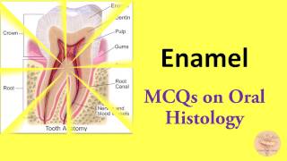 MCQs on Oral Histology Enamel  Amelogenesis for NBDE NDEB AIPGEE AIIMS ADA etc [upl. by Crabb]