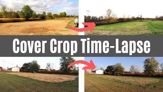 Planting Cover Crop Over Our Septic Leach Field  TIME LAPSE [upl. by Ayanaj13]