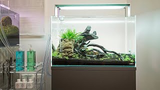 Full ADA 60P Aquascape Step by Step Tutorial [upl. by Auqinet]