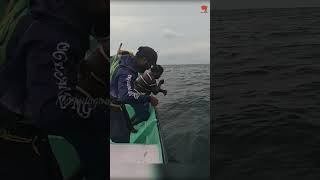 Catching King Fish in the Deep Sea fishing fishingvideo oceanfishing [upl. by Okihsoy84]