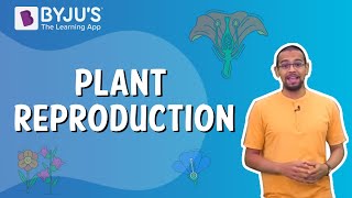 Plant Reproduction  Class 5 I Learn with BYJUS [upl. by Radburn782]