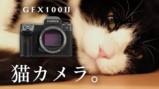 FUJIFILM GFX100Ⅱのファーストインプレッション。  GF80mm F17GF55mm F17 [upl. by Toy]