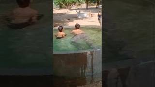 Swimming pool vkd block Vikram short video love 📷 📷flute [upl. by Tongue]