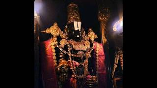 sree venkateshasreenivasagovinda🙏🙏🙏🙏🙏🙏🙏🙏🙏 [upl. by Erbe]