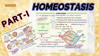 Homeostasis Partl ll What is Homeostasis The Ayu Learner ll Medical Physiology Lecture Video ll [upl. by Cordie]