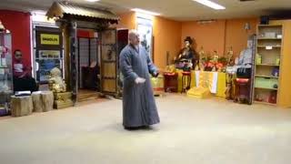 Shi Yan Fan Performs Yi Jin Jing [upl. by Leonanie952]