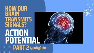 Generation of Action potential in தமிழ் Part 2  LLAP [upl. by Farmann73]