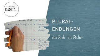 Pluralendungen So bildest du den Plural inkl Arbeitsblatt [upl. by Gnauq537]