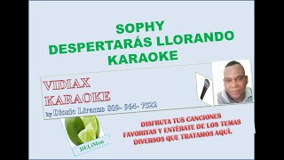 Sophy Despertaras llorando karaoke [upl. by Durston]